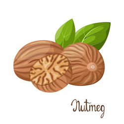 Similar image 21700685