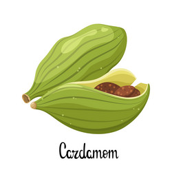 Similar image 21700707