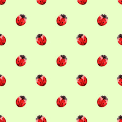 Similar image 21700716