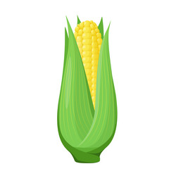 Similar image 21700737