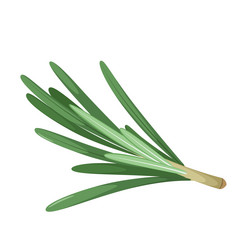 Similar image 21700987