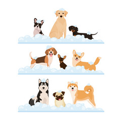 Similar image 21686625