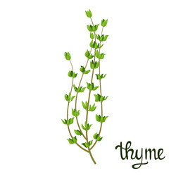 Similar image 21701234