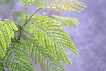 Similar image 21686235