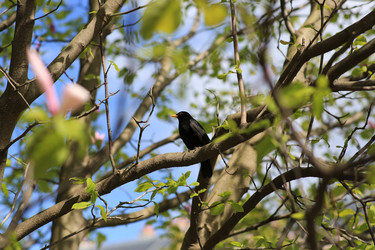 Similar image 21690528