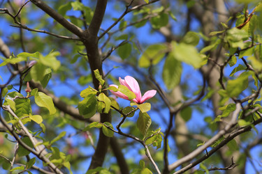 Similar image 21690529