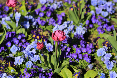 Similar image 21690536