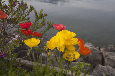 Similar image 21685739