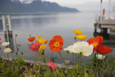 Similar image 21688502