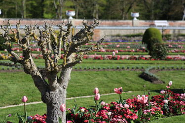 Similar image 21690537