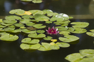 Similar image 21685744