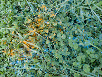 Similar image 21690900