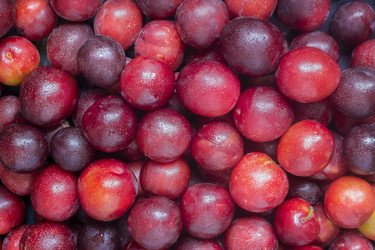 Similar image 21699518