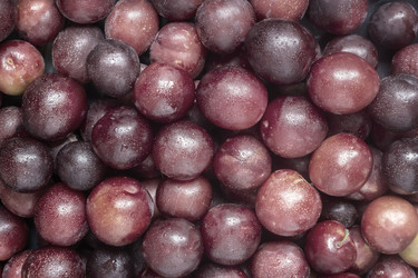 Similar image 21699521