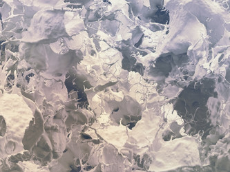 Similar image 21699532