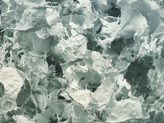 Similar image 21699533