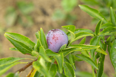 Similar image 21702292