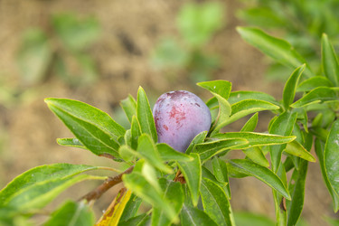 Similar image 21702293