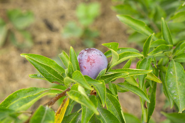 Similar image 21702294