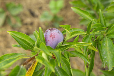 Similar image 21702296