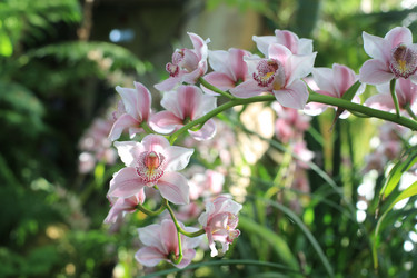 Similar image 21689962