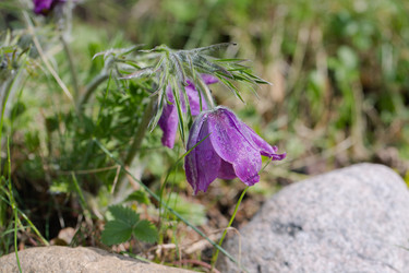 Similar image 21689964