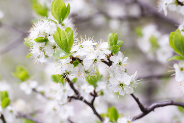 Similar image 21685746