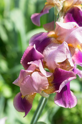 Similar image 21688303