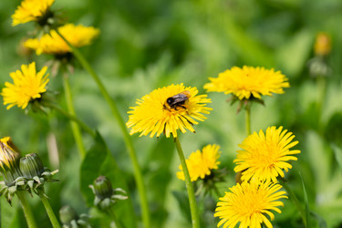 Similar image 21688304