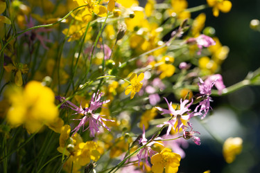 Similar image 21689965