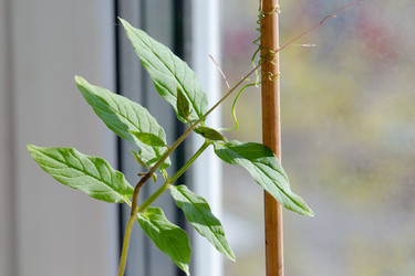 Similar image 21689966