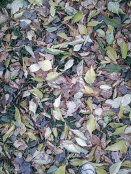 Similar image 21699555