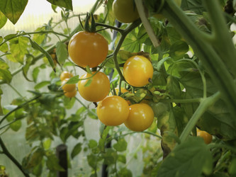 Similar image 21699558