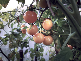 Similar image 21699569