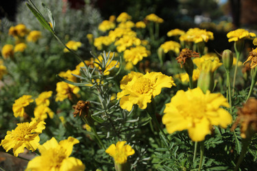 Similar image 21698811