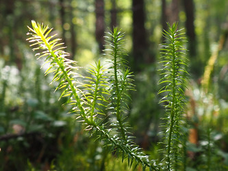 Similar image 21692461