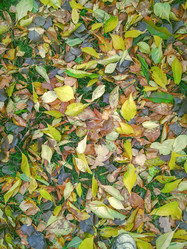 Similar image 21699575