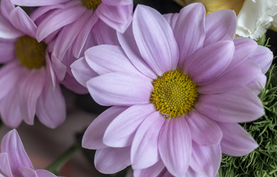 Similar image 21699581