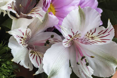 Similar image 21699582