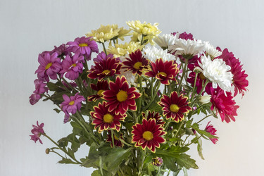 Similar image 21699584