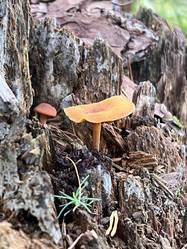 Similar image 21685748