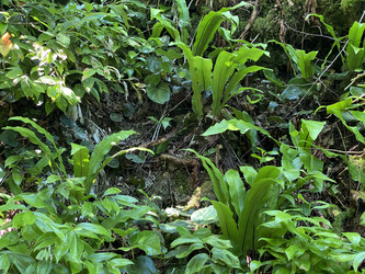 Similar image 21685751