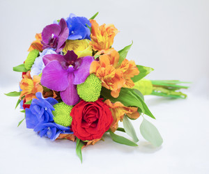 Similar image 21685752