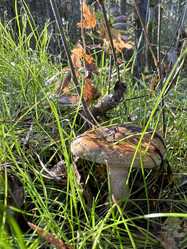 Similar image 21685756