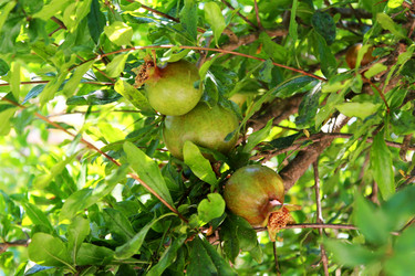 Similar image 21685757