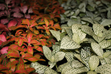 Similar image 21685954