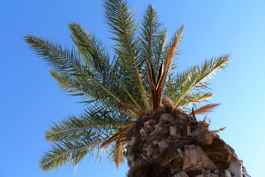 Similar image 21697111