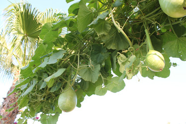 Similar image 21699627