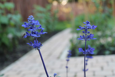 Similar image 21699628