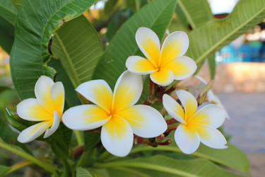 Similar image 21699629